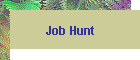 Job Hunt